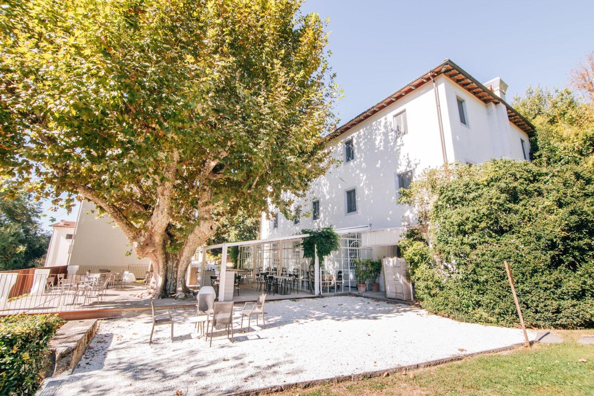 Villa La Bianca กาไมโยเร ภายนอก รูปภาพ